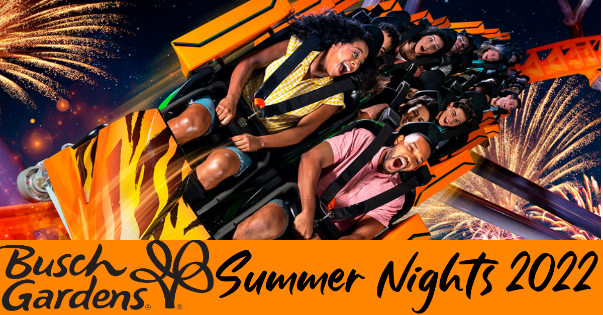 BGsummernights blog