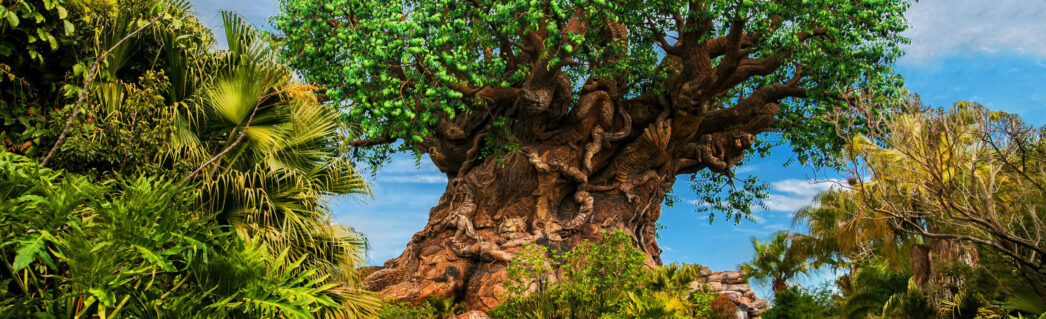 Tree Of Life Animal Kingdom